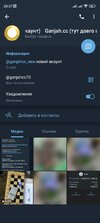 Screenshot_2025-04-30-20-37-03-788_org.telegram.messenger.jpg