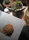 20250511_190039.jpg