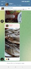 Screenshot_2025-05-15-02-43-51-864_org.telegram.messenger.jpg