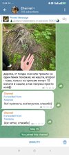Screenshot_2025-05-15-02-44-09-551_org.telegram.messenger.jpg