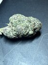 IMG_8437.jpeg