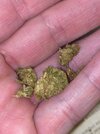 IMG_20250529_072701_969.jpg