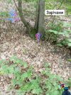 IMG_1318.jpeg