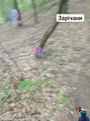 IMG_1319.jpeg