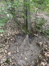 IMG_1317.jpeg