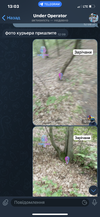 IMG_1324.png