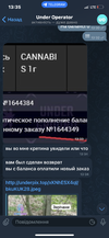 IMG_1329.png
