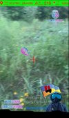 IMG_1295.jpeg