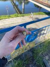 IMG_8972.jpeg