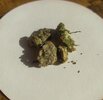 IMG_20250626_174832.jpg