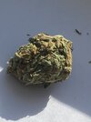 IMG_0668.jpeg