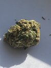 IMG_0669.jpeg