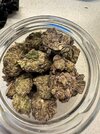 IMG_0116.jpeg