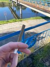 IMG_7601.jpeg