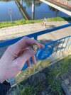 IMG_7600.jpeg