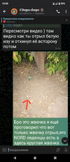 Screenshot_20250710-150500.png