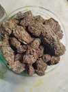 IMG_20250725_142131.jpg