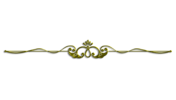1000001605.png