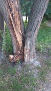 IMG_20250802_233057_799.jpg