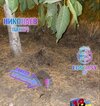 IMG_0266.jpeg