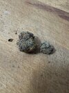 IMG_3914.jpeg
