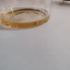 IMG_20250318_184932.jpg