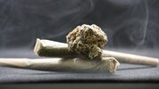 cannabis-8054144_1280.jpg