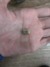 IMG_0411.jpeg