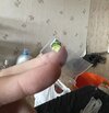 IMG_0237.jpeg