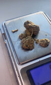 IMG_9277.jpeg