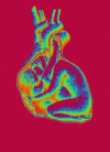 heart.gif