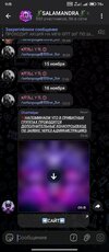 Screenshot_2025-11-16-09-15-35-184_org.telegram.messenger.jpg