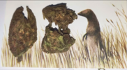 1765618733252.png