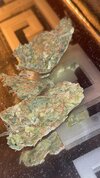 IMG_6635.jpeg