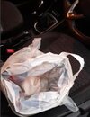 gladhouse_drugs_car.jpg