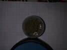 IMG_4450.jpeg