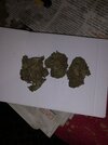 IMG_4516.jpeg