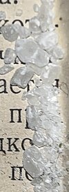 IMG_6848.jpeg