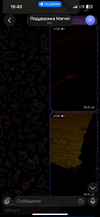 IMG_2919.png
