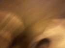 IMG_2911.jpeg