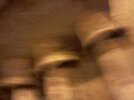 IMG_2909.jpeg