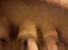 IMG_2908.jpeg