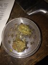 IMG_20260225_172401.jpg