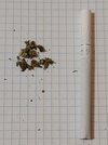 20260228_185305.jpg