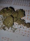 IMG_20260318_041647_817.jpg