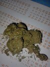 IMG_20260318_041630_249.jpg