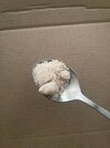 photo_2026-03-18_15-47-06.jpg