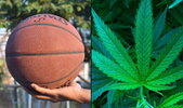 wnba-to-stop-cannabis-testing.thumb.jpg.16501675cdc168138952217544712715.jpg