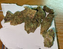 IMG_0902.jpeg