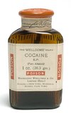 132910_Wellcome_Foundation_Object_Wellcome_L0044963.jpg